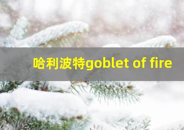 哈利波特goblet of fire